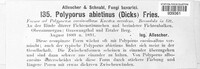 Trichaptum abietinum image